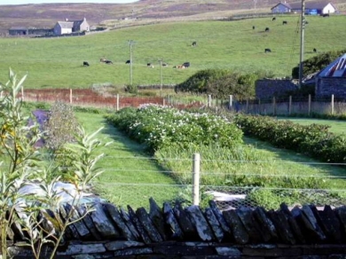 garden001.jpg