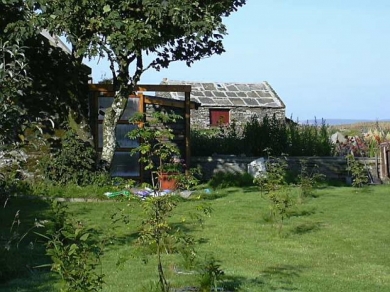 garden002.jpg