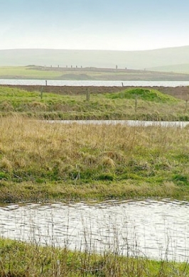 212454_lochside.jpg